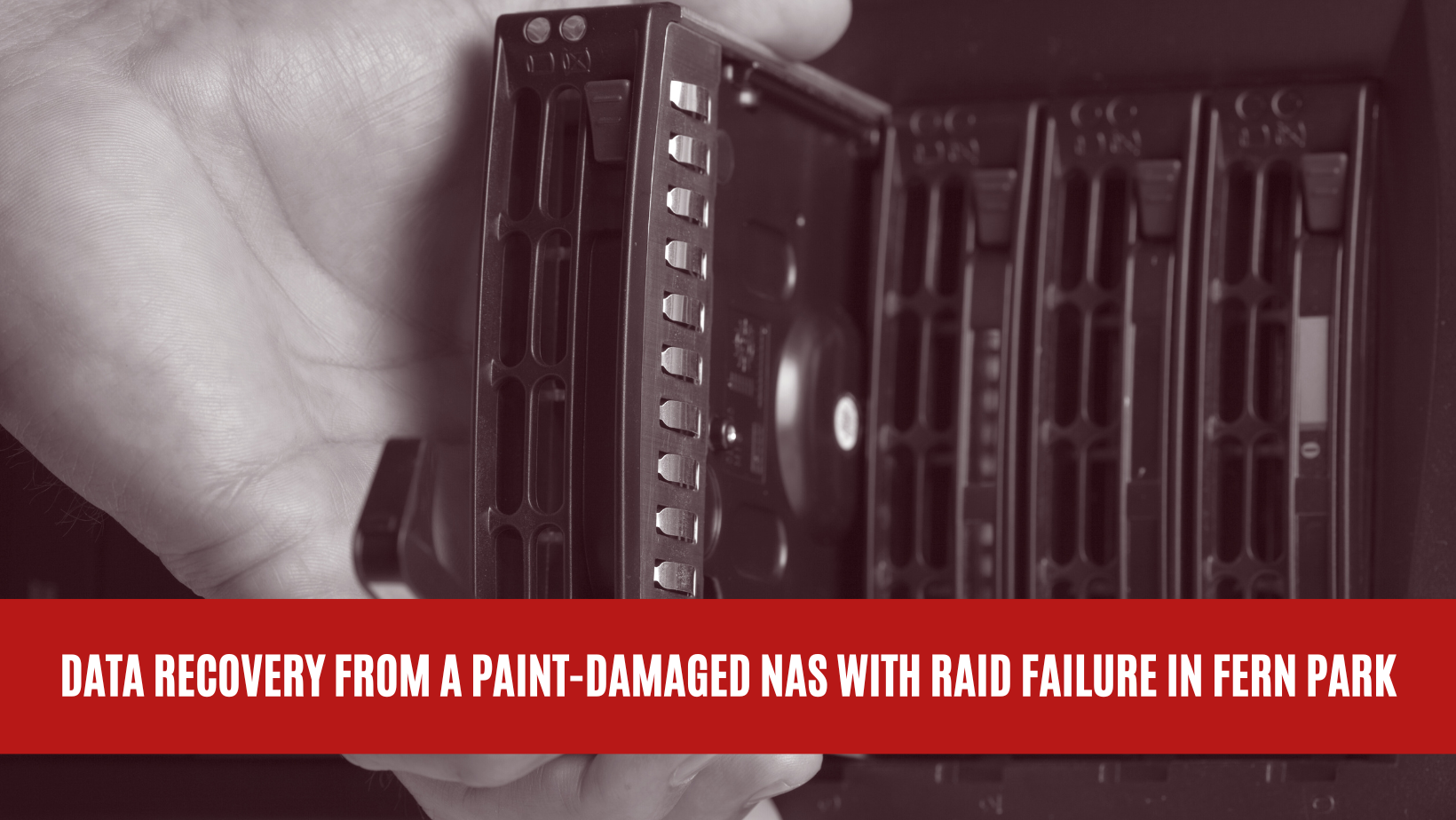 Data Recovery from a Paint-Damaged NAS with RAID Failure in Fern Park ...