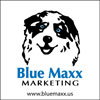 blue maxx marketing logo